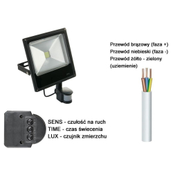Naświetlacz LED 10W 230V b.zimna z czujnikiem ruchu i zmierzchu